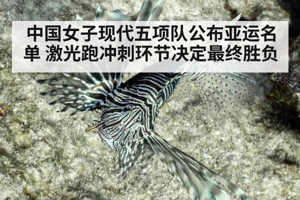 中国女子现代五项队公布亚运名单 激光跑冲刺环节决定最终胜负